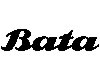 Bata Industrials